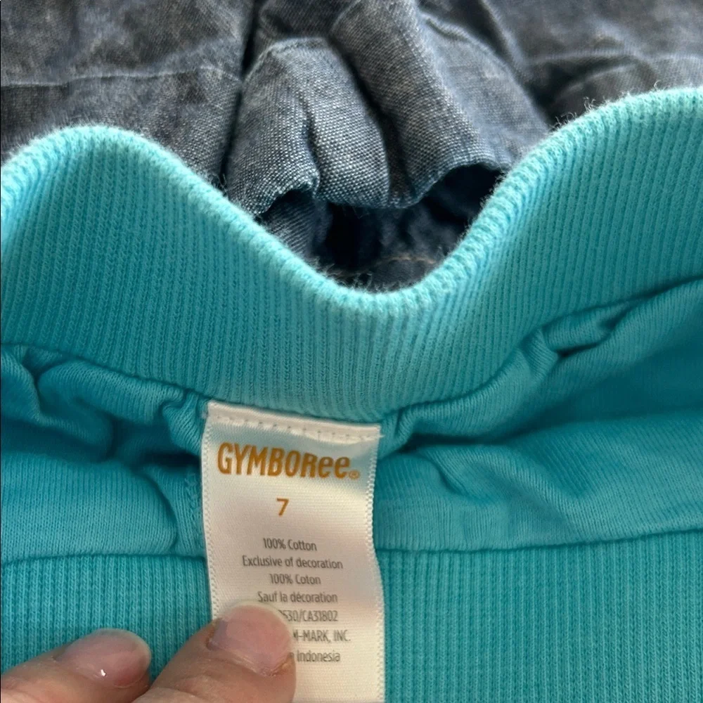 Gymboree Denim and Blue Skirt Duo